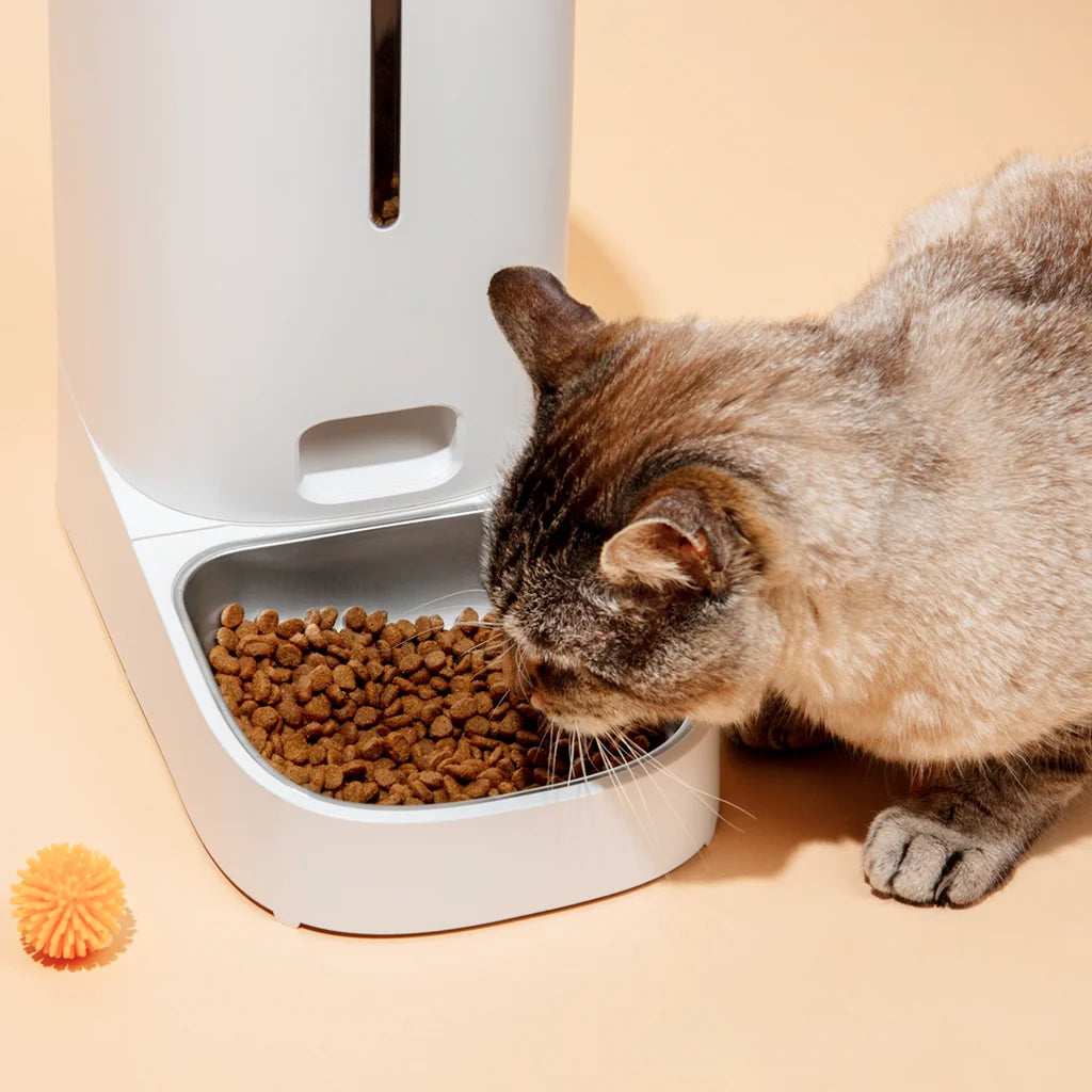Gravity Pet Feeder with Steel Bowl
