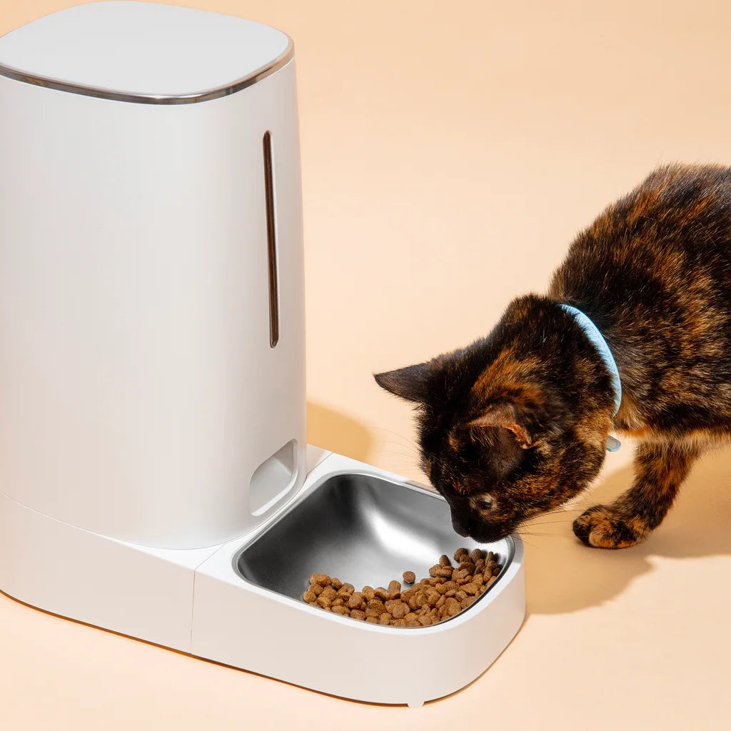 Gravity Pet Feeder with Steel Bowl