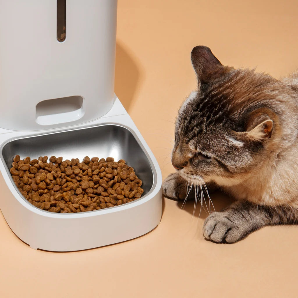 Gravity Pet Feeder with Steel Bowl