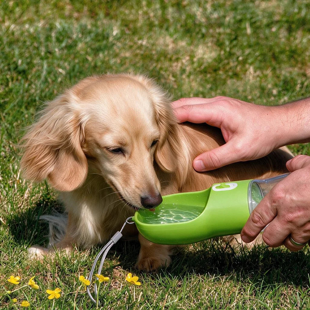 Portable Dog Water Bottle