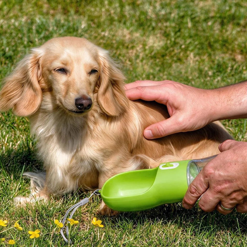Portable Dog Water Bottle