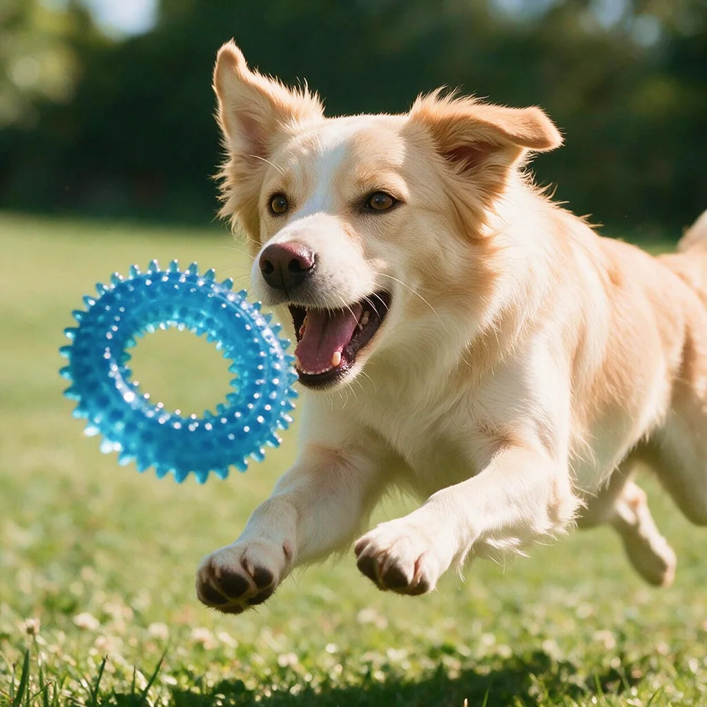 Spiky Rubber Dental Ring